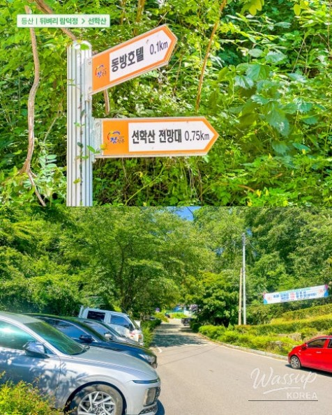 Recommended Beginner Hiking Course: Hidden Gem of Seonhak Mountain in Jinju, Gyeongnam_03