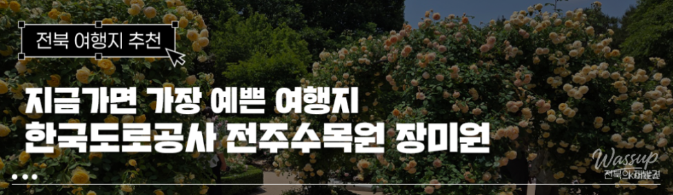 Explore the Free Jeonju Arboretum in the Heart of the City_01