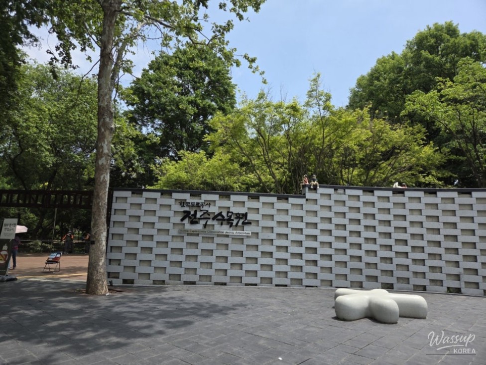 Explore the Free Jeonju Arboretum in the Heart of the City_03