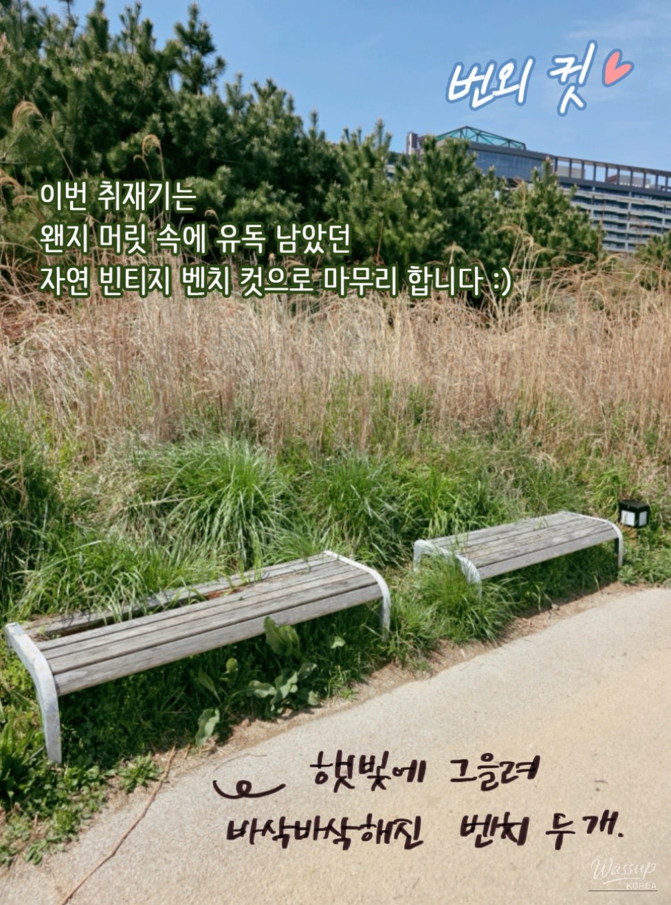 Oshiria Coastal Walk: A Serene Escape_20