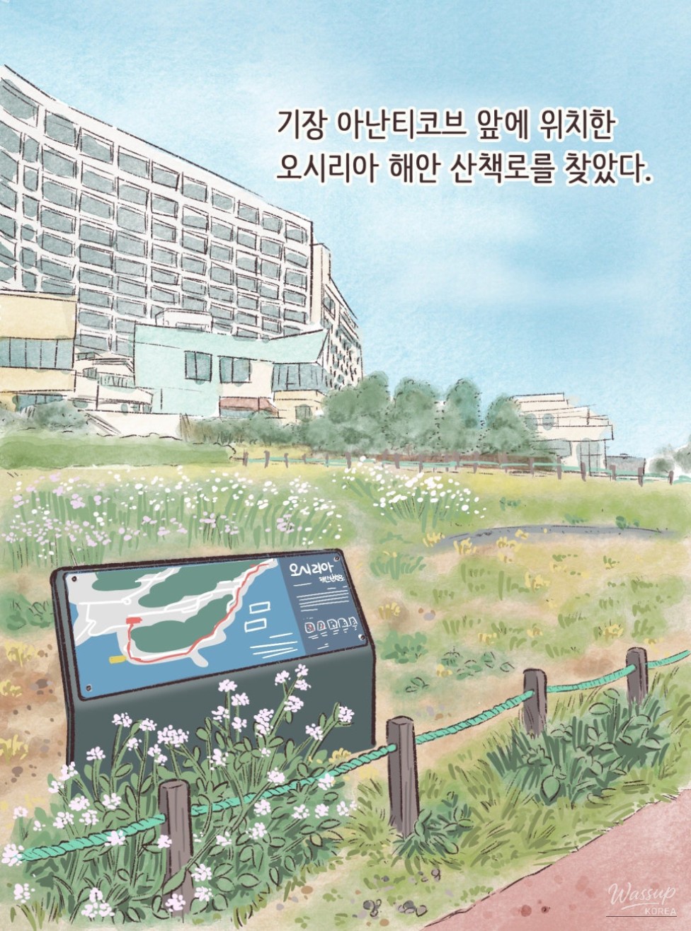 Oshiria Coastal Walk: A Serene Escape_02