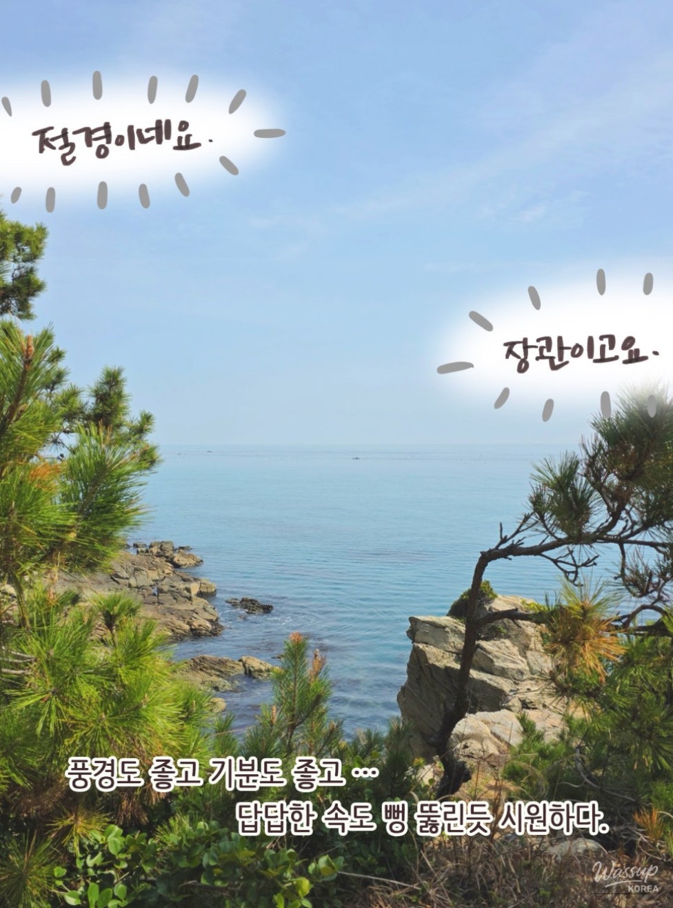 Oshiria Coastal Walk: A Serene Escape_18