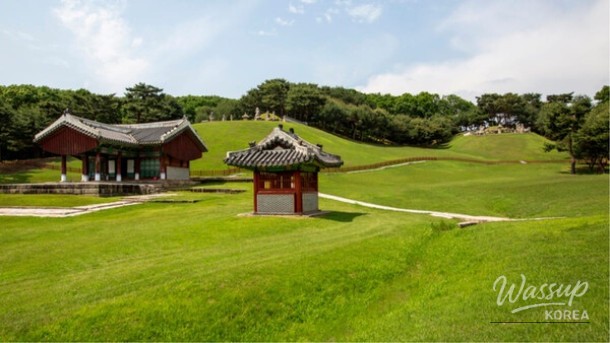 Discover the Beauty of Donggureung in Late May_01