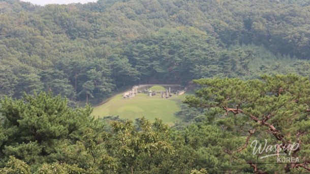 Discover the Beauty of Donggureung in Late May_03