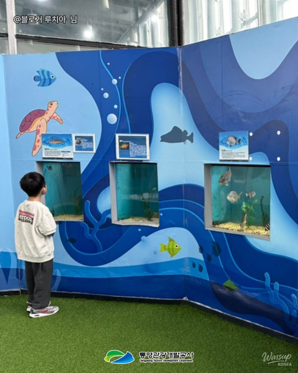 Exploring Tongyeong: A Family-Friendly Destination Even on Rainy Days_09