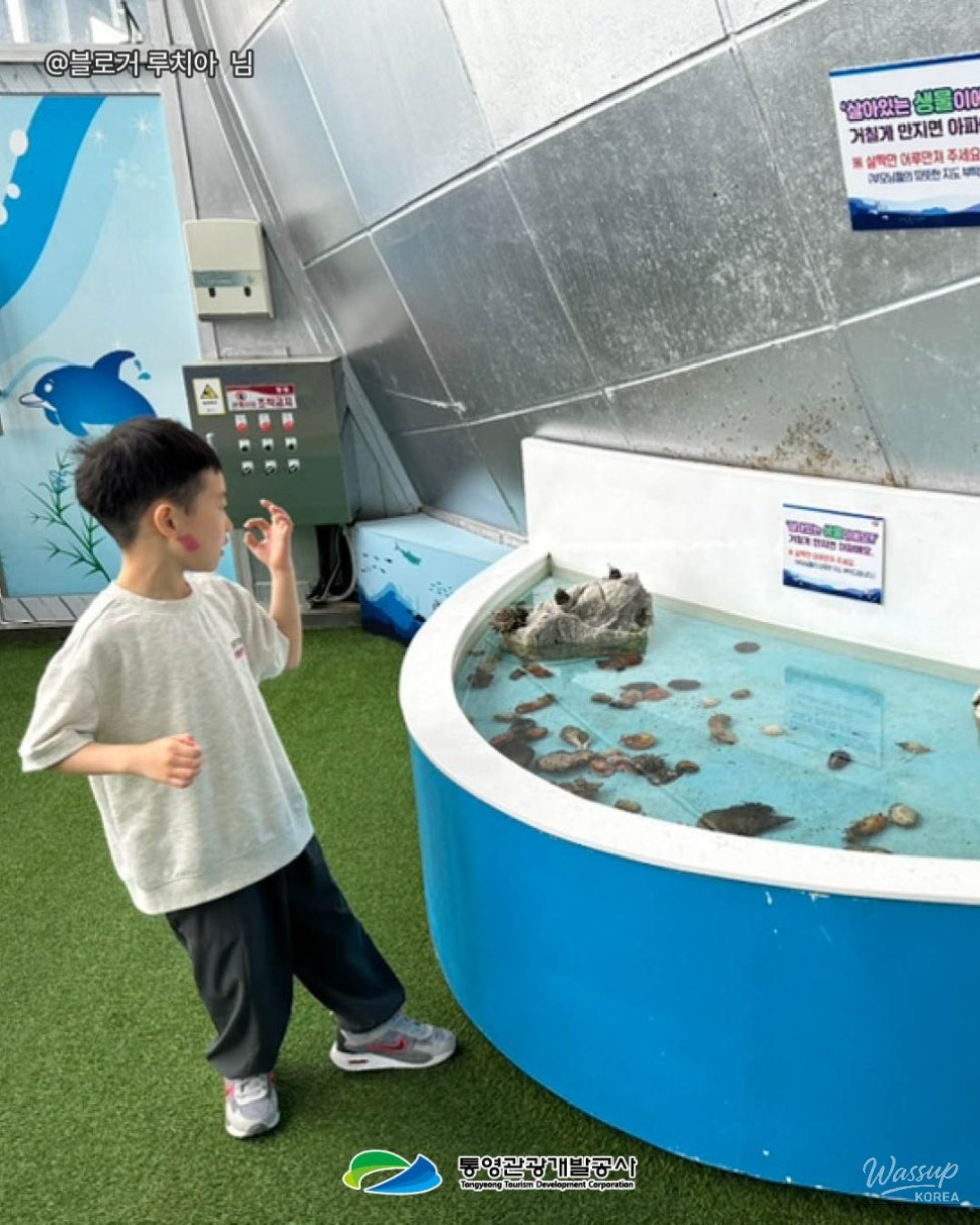 Exploring Tongyeong: A Family-Friendly Destination Even on Rainy Days_05