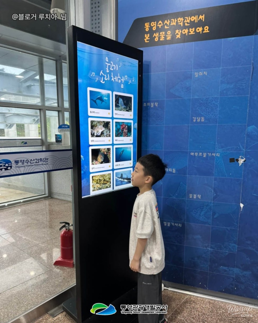 Exploring Tongyeong: A Family-Friendly Destination Even on Rainy Days_06