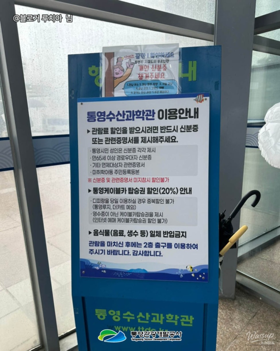 Exploring Tongyeong: A Family-Friendly Destination Even on Rainy Days_08