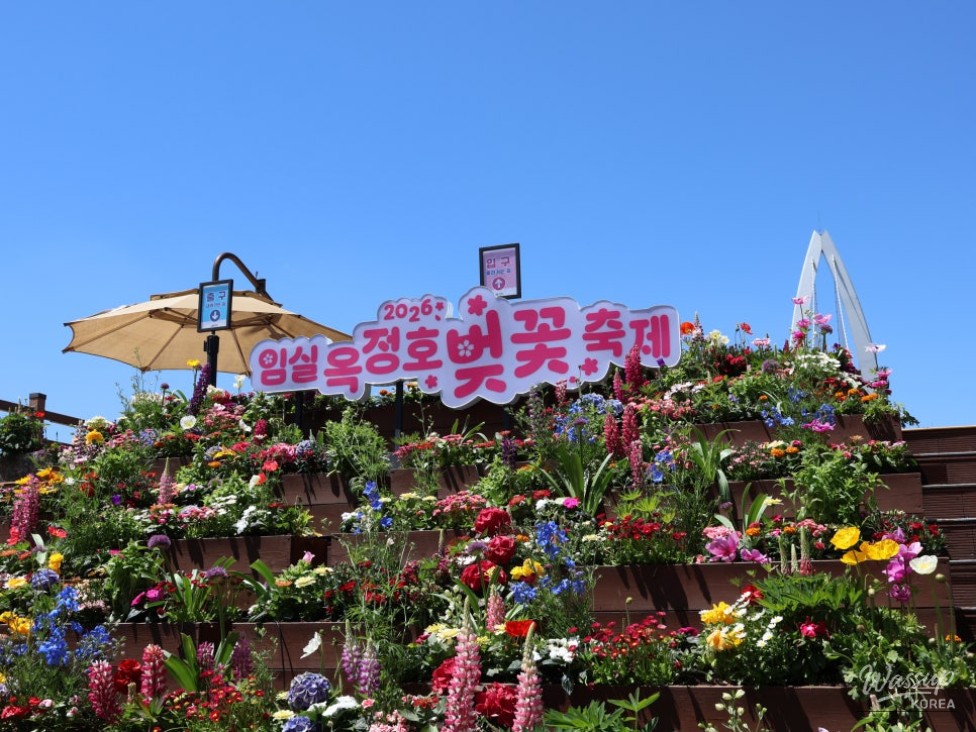 Must-Visit: Imshil Bungeoseom Ecological Park in Spring_05