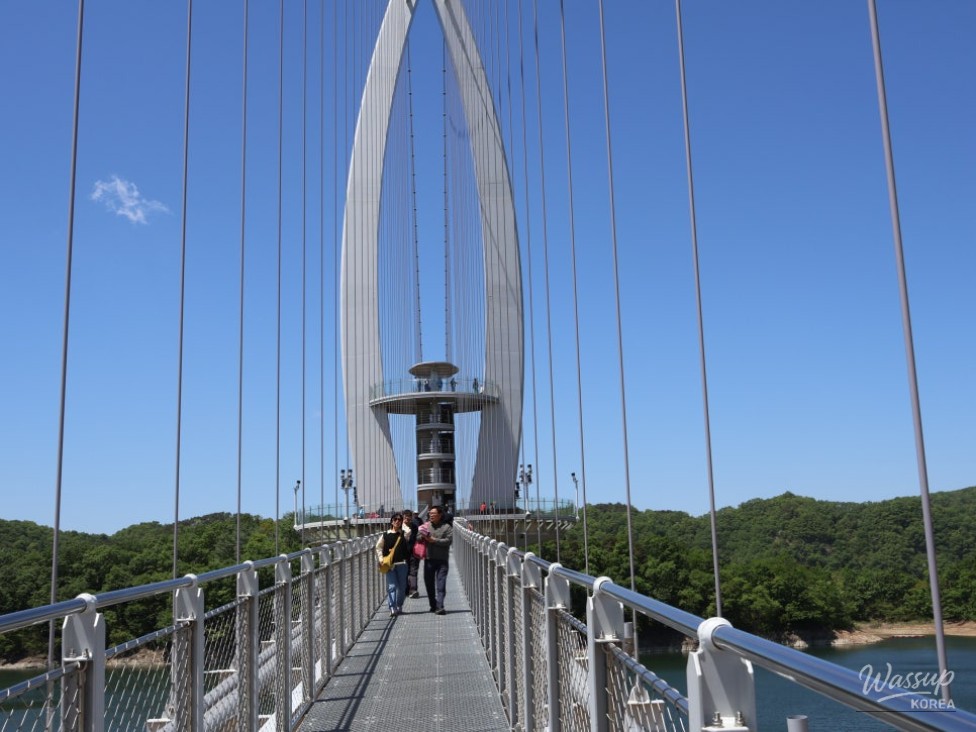 Must-Visit: Imshil Bungeoseom Ecological Park in Spring_06