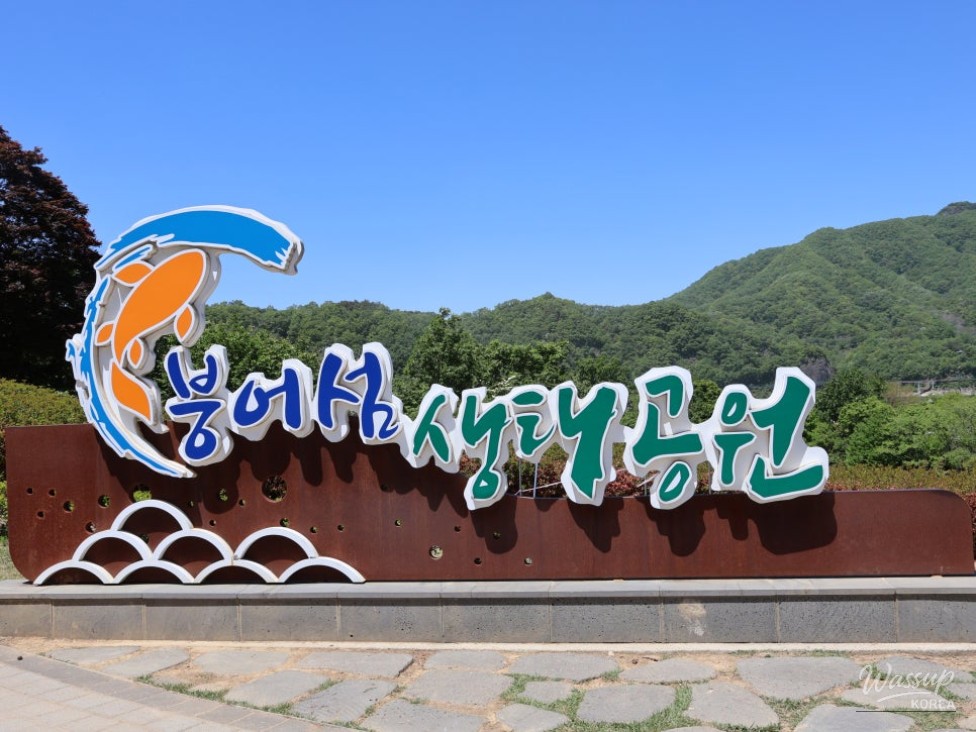 Must-Visit: Imshil Bungeoseom Ecological Park in Spring_09