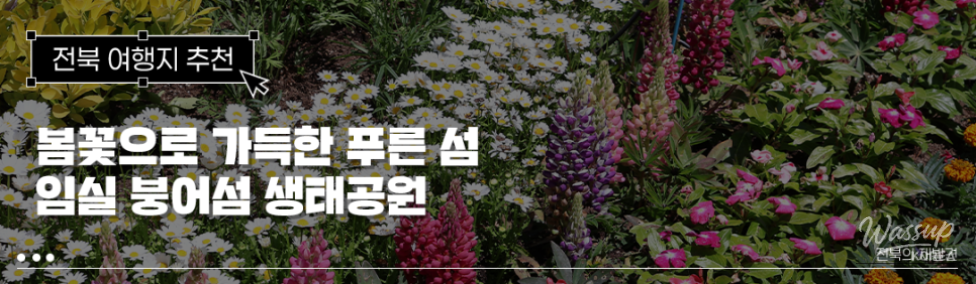 Must-Visit: Imshil Bungeoseom Ecological Park in Spring_01