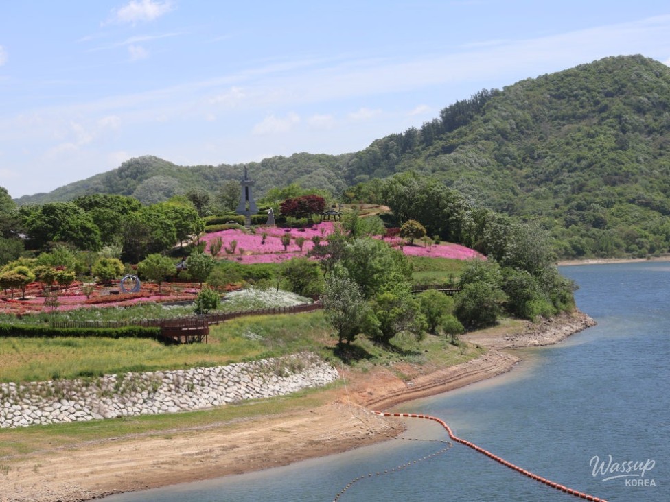 Must-Visit: Imshil Bungeoseom Ecological Park in Spring_17