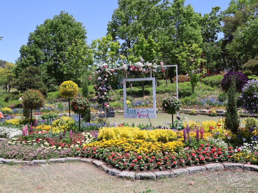 Must-Visit: Imshil Bungeoseom Ecological Park in Spring_14