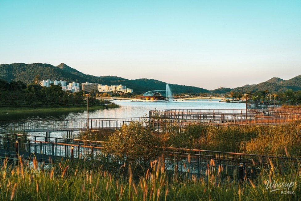 Exploring the Green Spaces of Sejong City_01