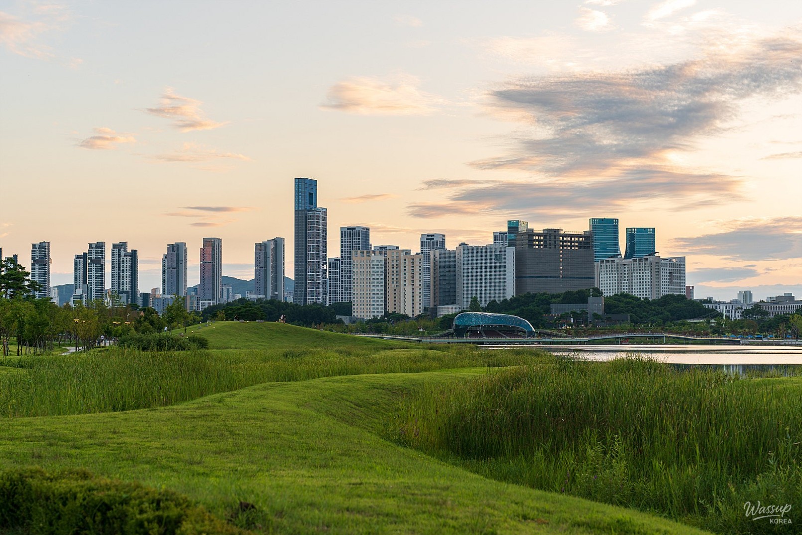 Exploring the Green Spaces of Sejong City_03
