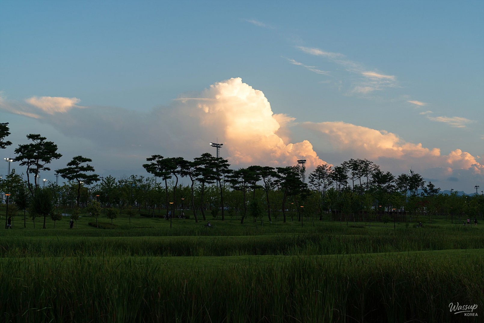 Exploring the Green Spaces of Sejong City_04
