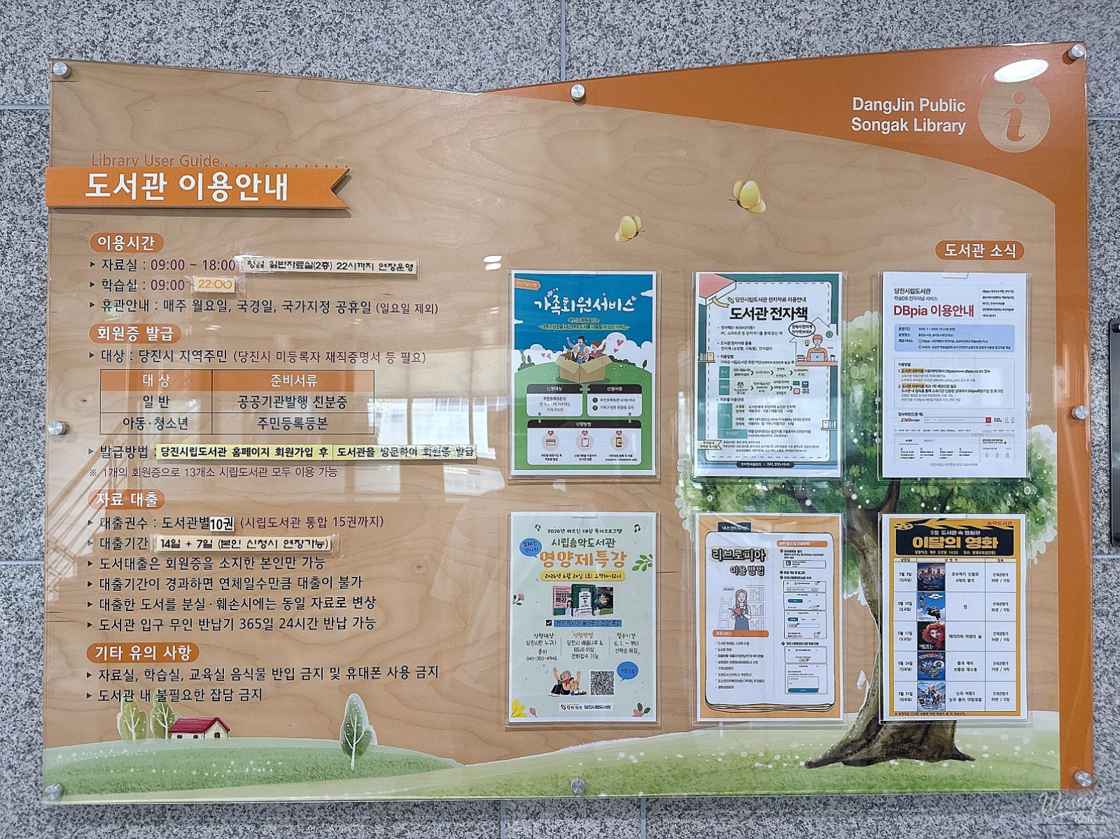 Exploring the Tranquil Songak Library in Dangjin_18