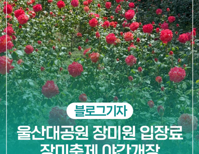 Experience the Beauty of Ulsan's Rose Festival float