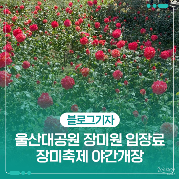 Experience the Beauty of Ulsan's Rose Festival1909