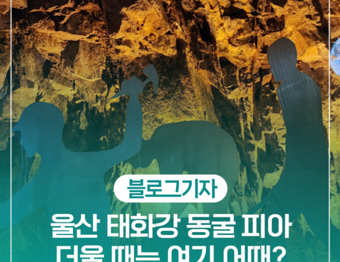 Exploring the Cool Indoor Spaces of Ulsan: Taehwa River Cavepia float