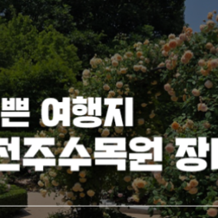 Explore the Free Jeonju Arboretum in the Heart of the City1908