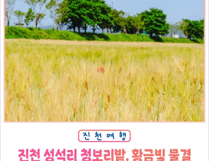 Discovering the Golden Fields of Seongseok-ri float