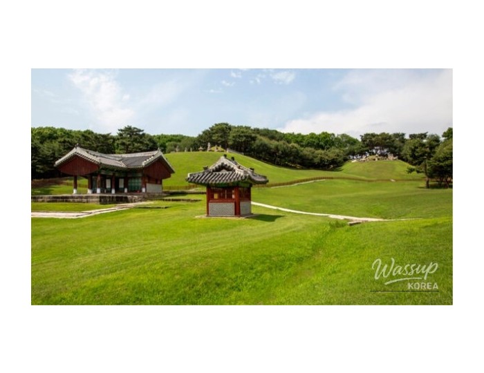 Discover the Beauty of Donggureung in Late May float