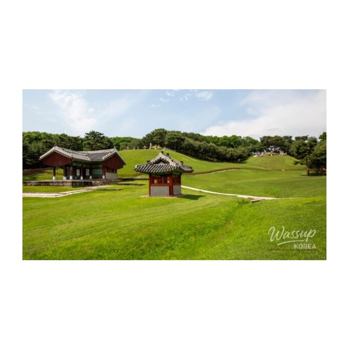 Discover the Beauty of Donggureung in Late May3994