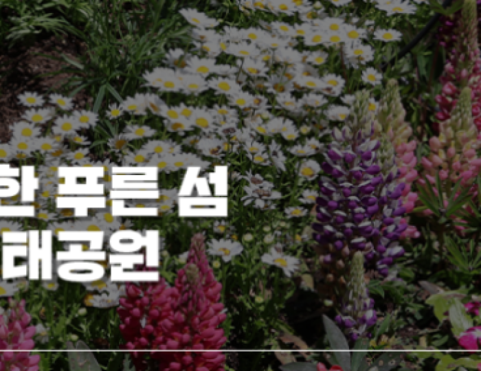 Must-Visit: Imshil Bungeoseom Ecological Park in Spring float