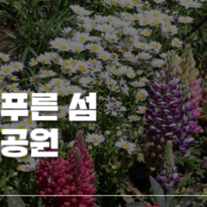 Must-Visit: Imshil Bungeoseom Ecological Park in Spring1907