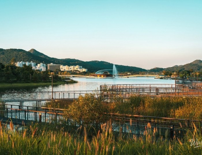 Exploring the Green Spaces of Sejong City float