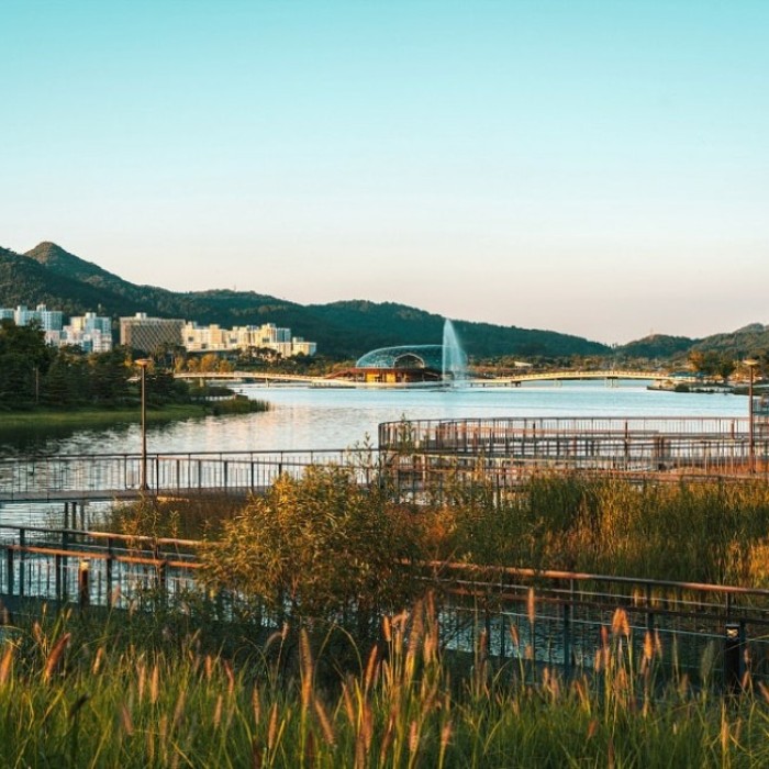 Exploring the Green Spaces of Sejong City399