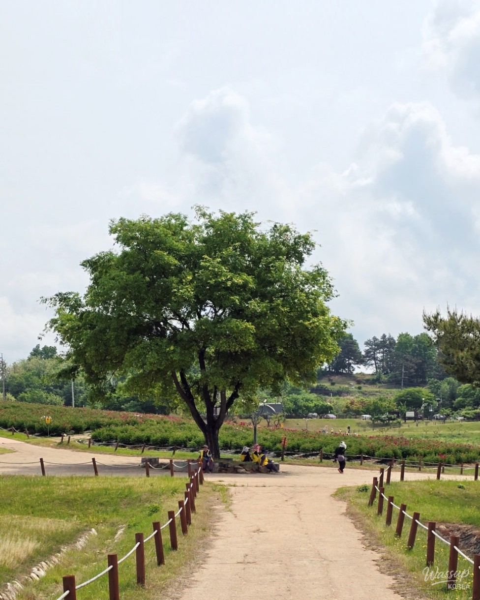 Exploring the Beauty of Jomun-guk Historic Site in May_08
