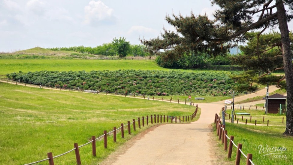 Exploring the Beauty of Jomun-guk Historic Site in May_07