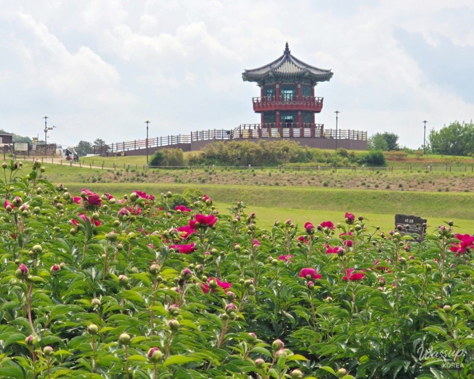 Exploring the Beauty of Jomun-guk Historic Site in May_06