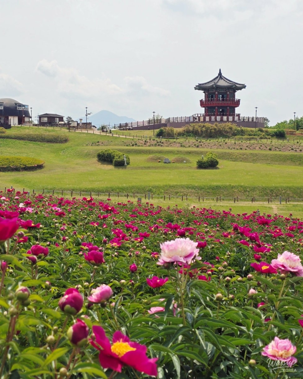 Exploring the Beauty of Jomun-guk Historic Site in May_02