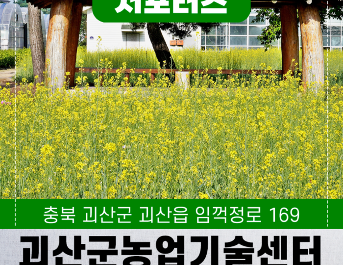 Exploring the Beauty of Geosan's Canola Flower Fields float