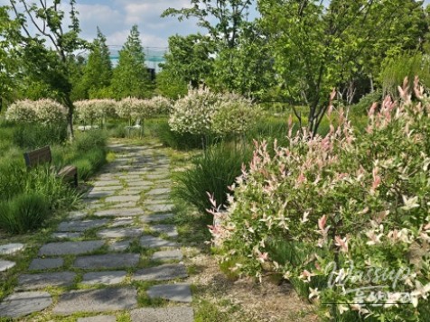 Discovering the Secret Garden of Yeonam in Ulsan_12