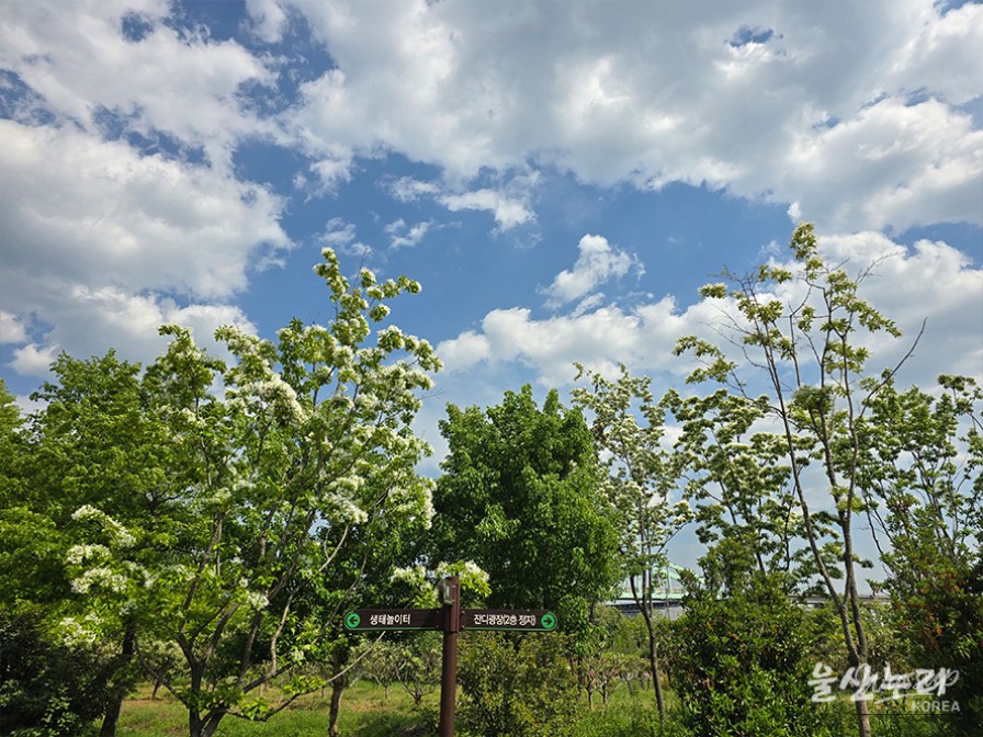 Discovering the Secret Garden of Yeonam in Ulsan_05