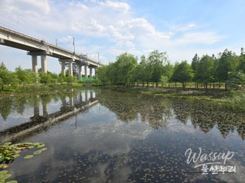 Discovering the Secret Garden of Yeonam in Ulsan_15