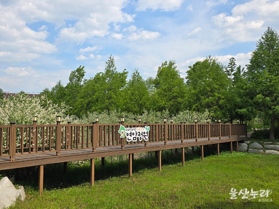 Discovering the Secret Garden of Yeonam in Ulsan_04