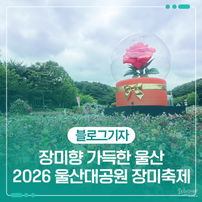 Complete Guide to the 2026 Ulsan Rose Festival_01