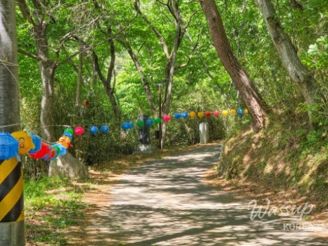 Exploring Jangchunsa Temple in Hamann_05