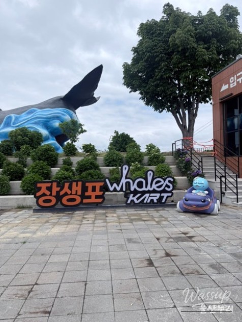 Experience the Excitement of Jangsaengpo Wales Kart_04