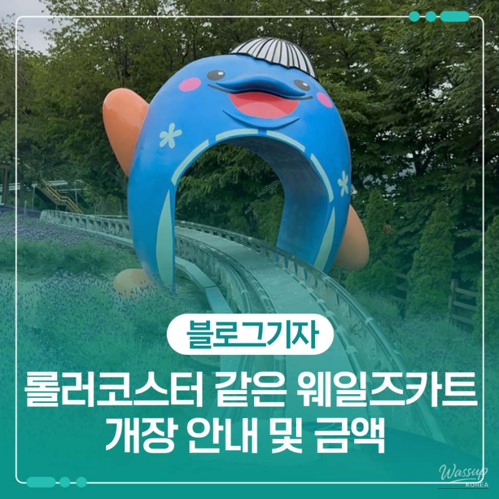 Experience the Excitement of Jangsaengpo Wales Kart_01