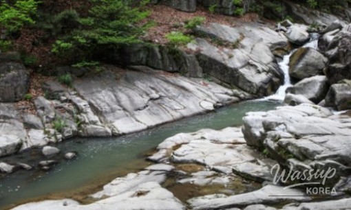Discovering the Healing Beauty of Okjeongho Misty Trail_10