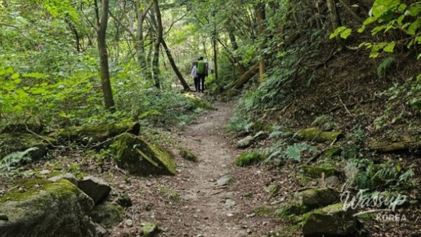 Exploring the Hidden Wellness Haven of Gu-ryong Waterfall_03