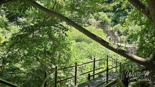 Exploring the Hidden Wellness Haven of Gu-ryong Waterfall_04