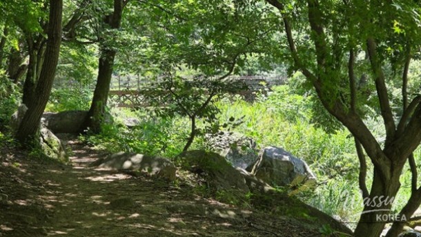 Exploring the Hidden Wellness Haven of Gu-ryong Waterfall_02